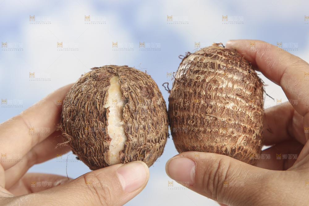 浅底上的新鲜小芋头
