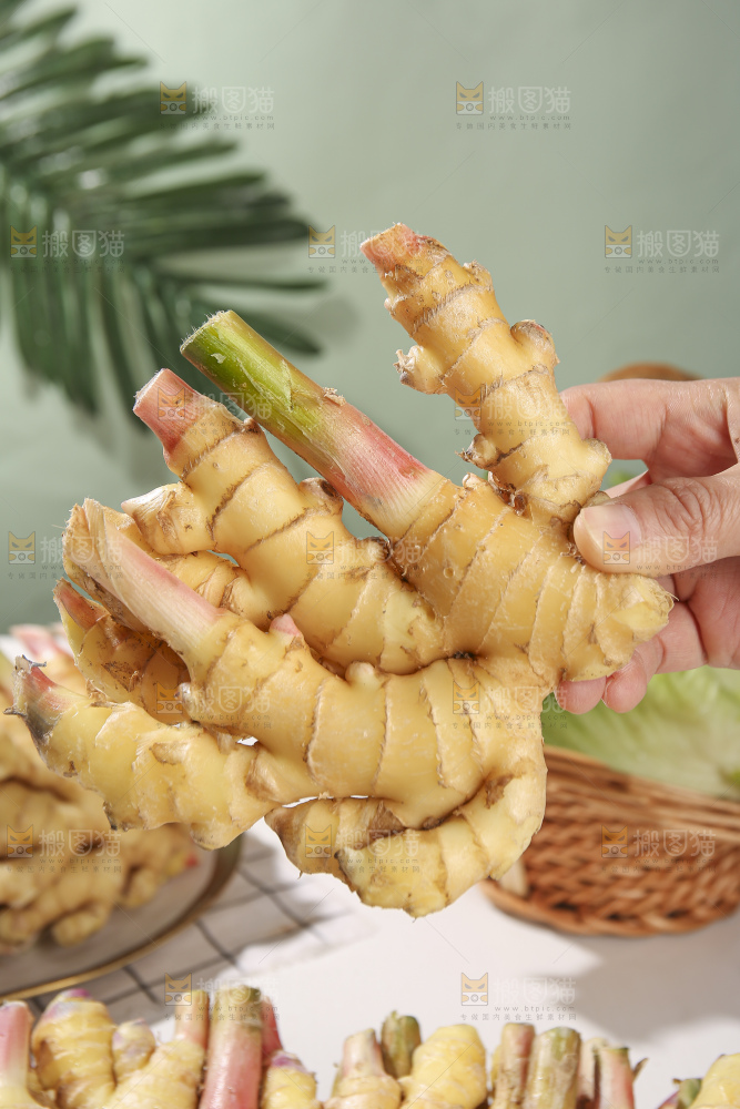 浅底上的小黄姜