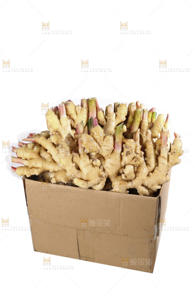 白底上的小黄姜