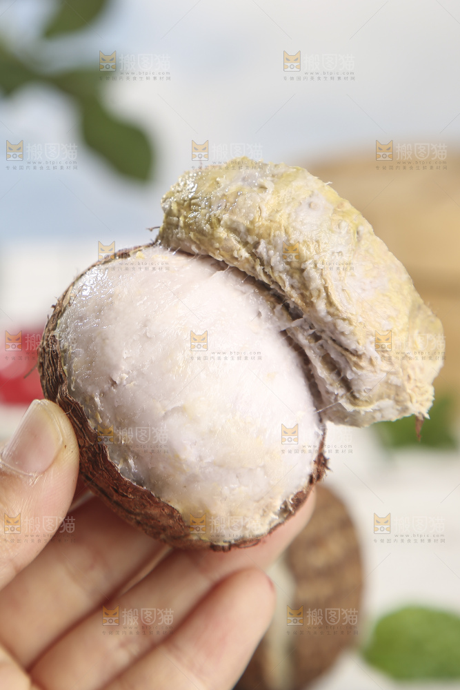 浅底上的新鲜小芋头