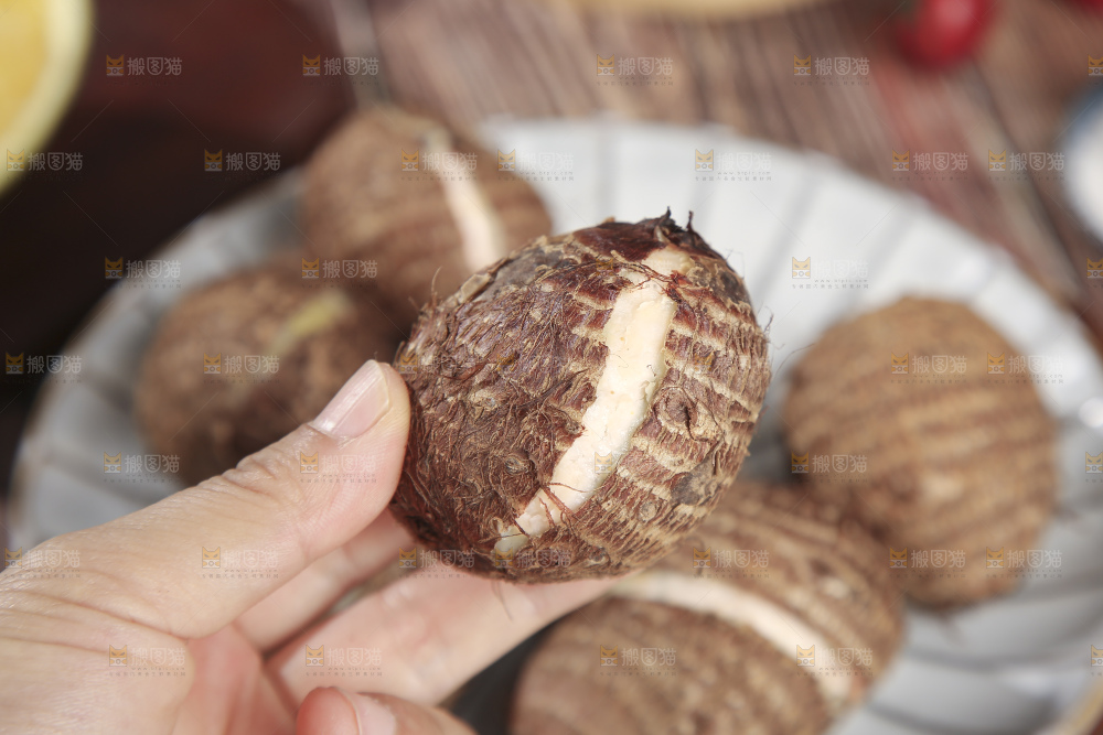 深底上的新鲜小芋头