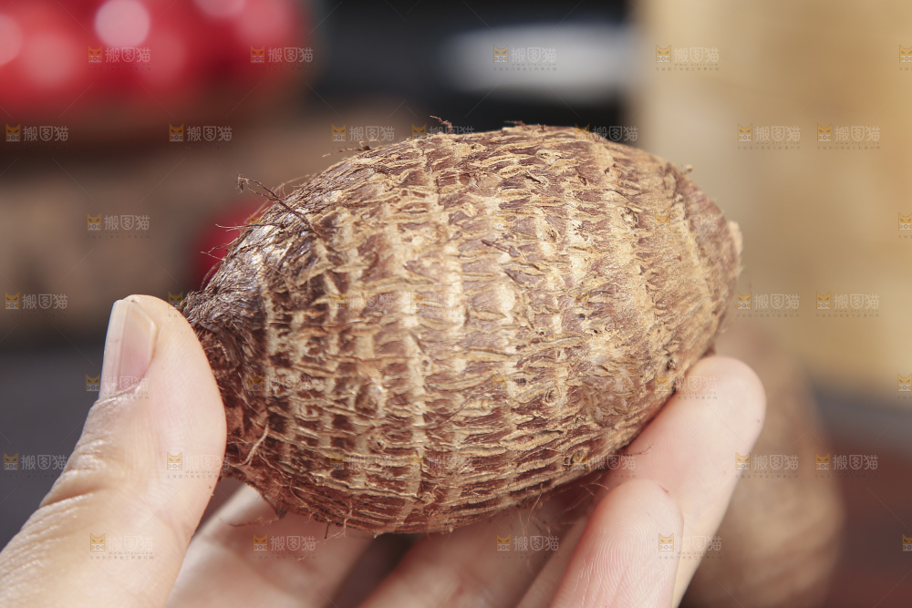 深底上的新鲜小芋头