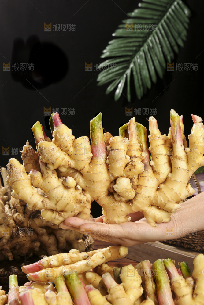 木底上的新鲜小黄姜