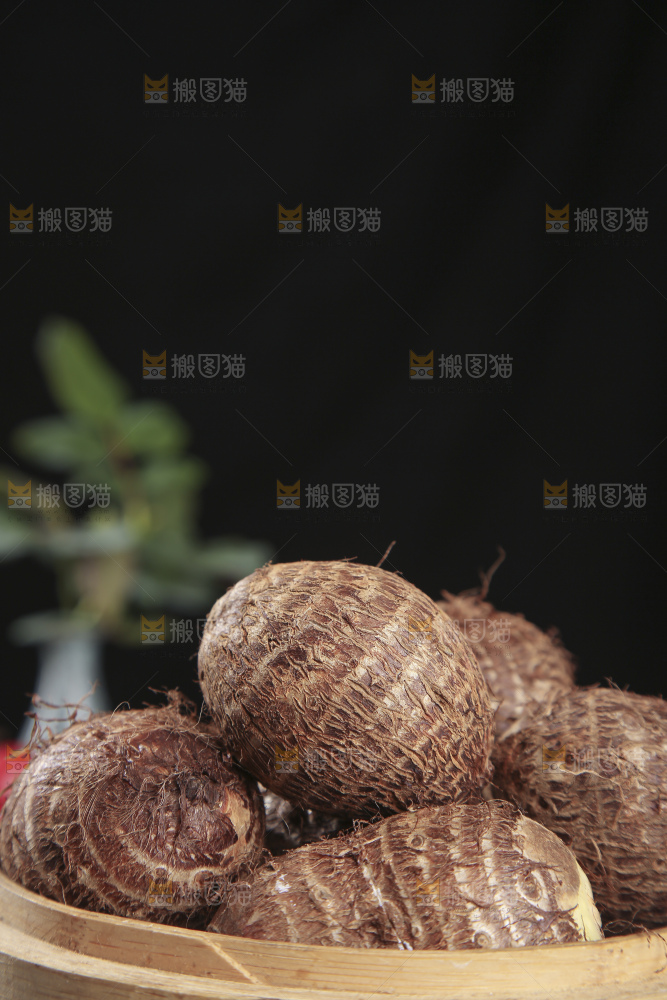 深底上的新鲜小芋头