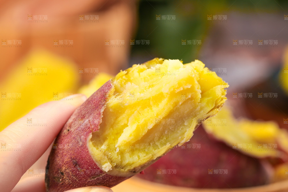 深底上的板栗红薯