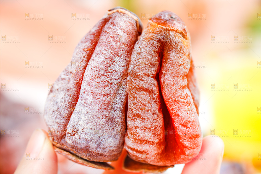 浅底上的吊柿饼