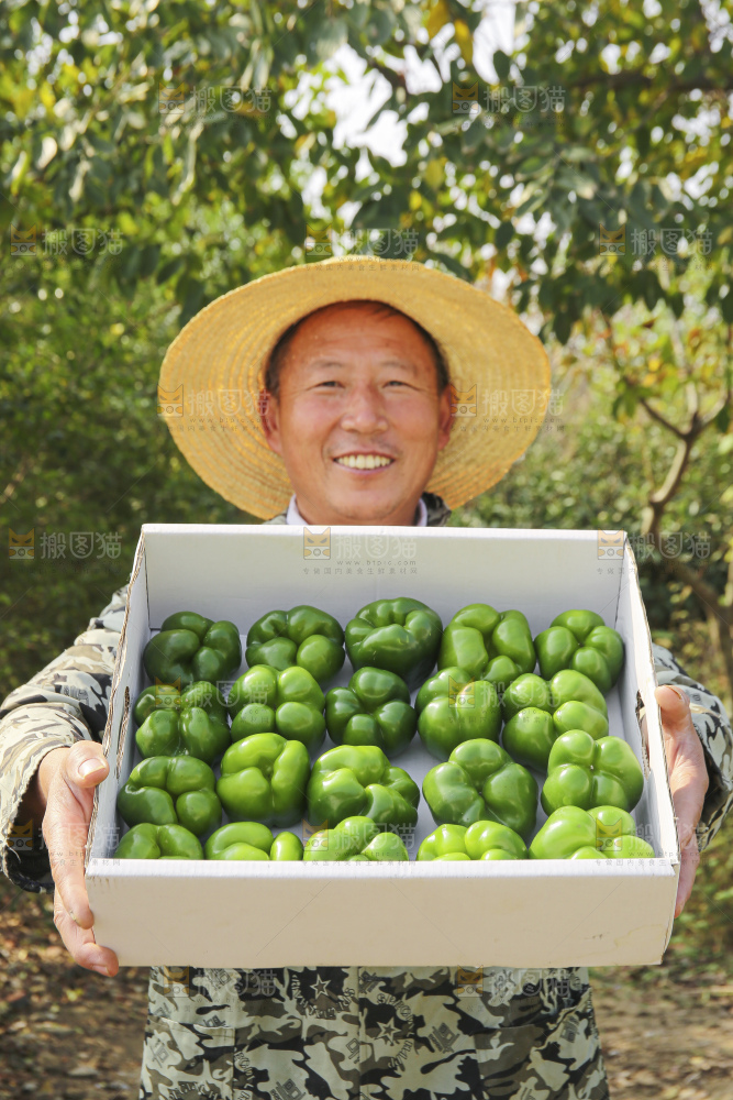 手里拿着新鲜青圆椒