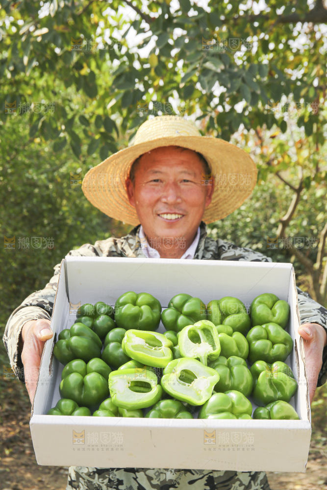 手里拿着新鲜青圆椒