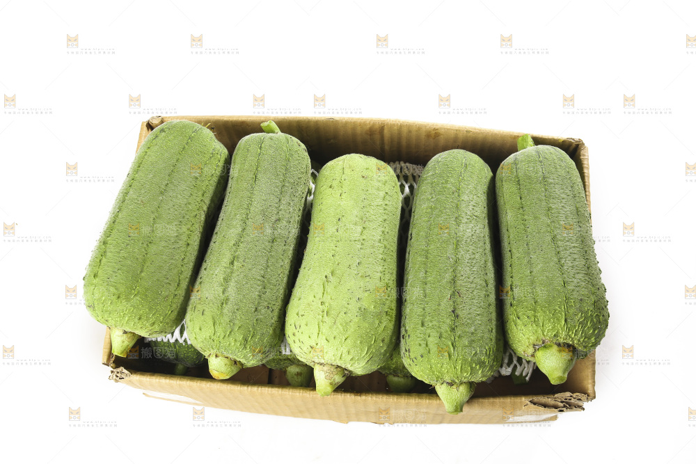 白底上的大丝瓜