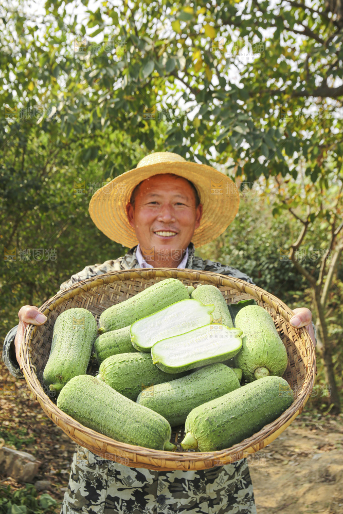 手里拿着新鲜丝瓜