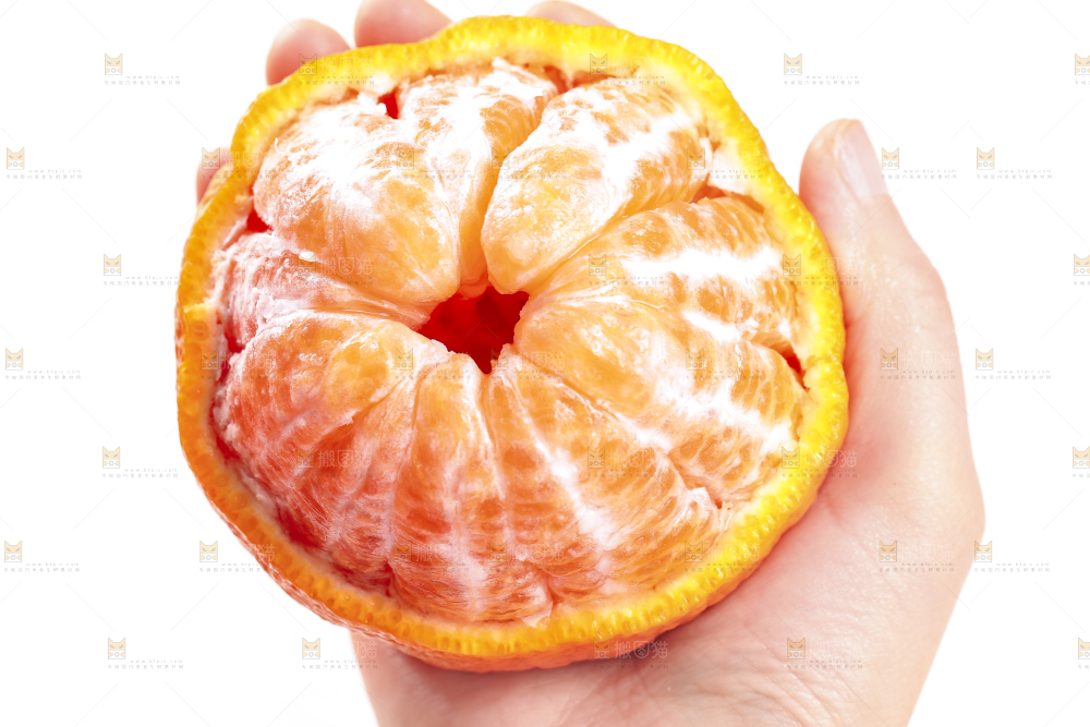 丑橘