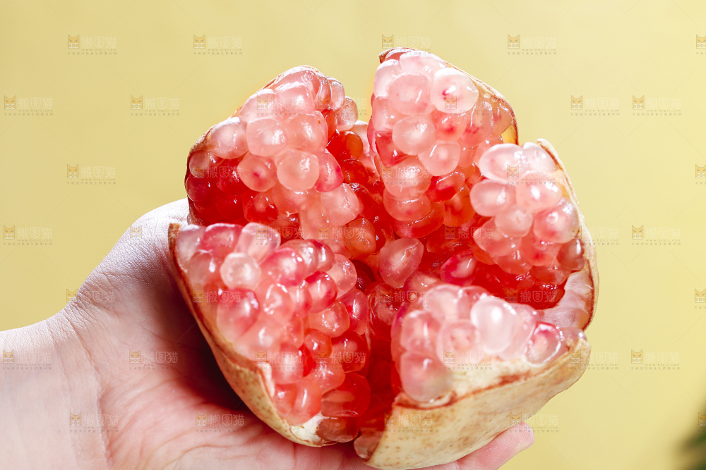 浅底上的蒙自石榴