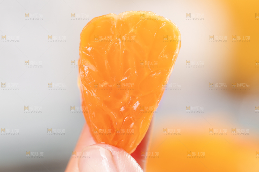 浅底上的丑八怪