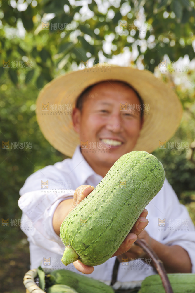 手里拿着新鲜丝瓜