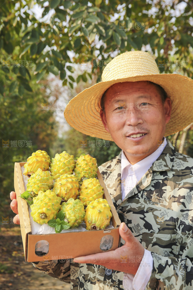 手里拿着燕窝果