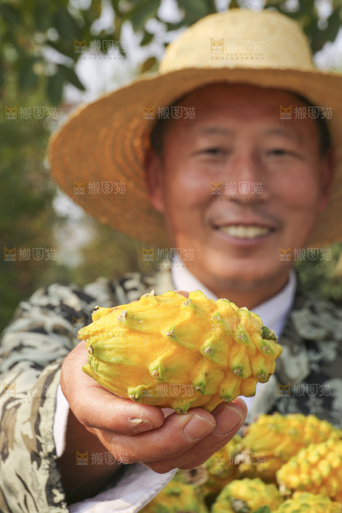 手里拿着燕窝果