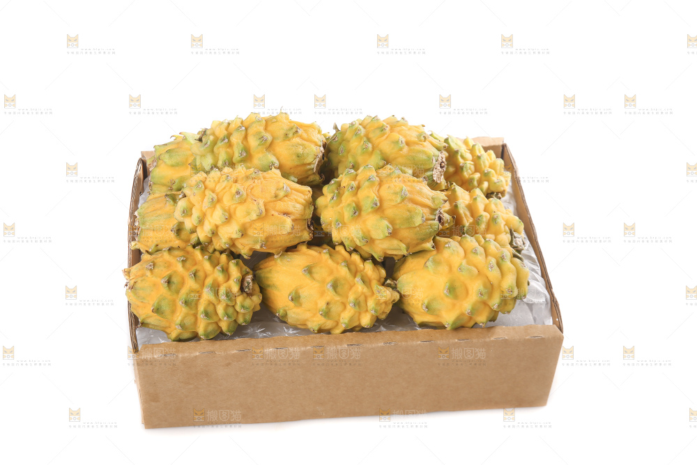 白底上的燕窝果