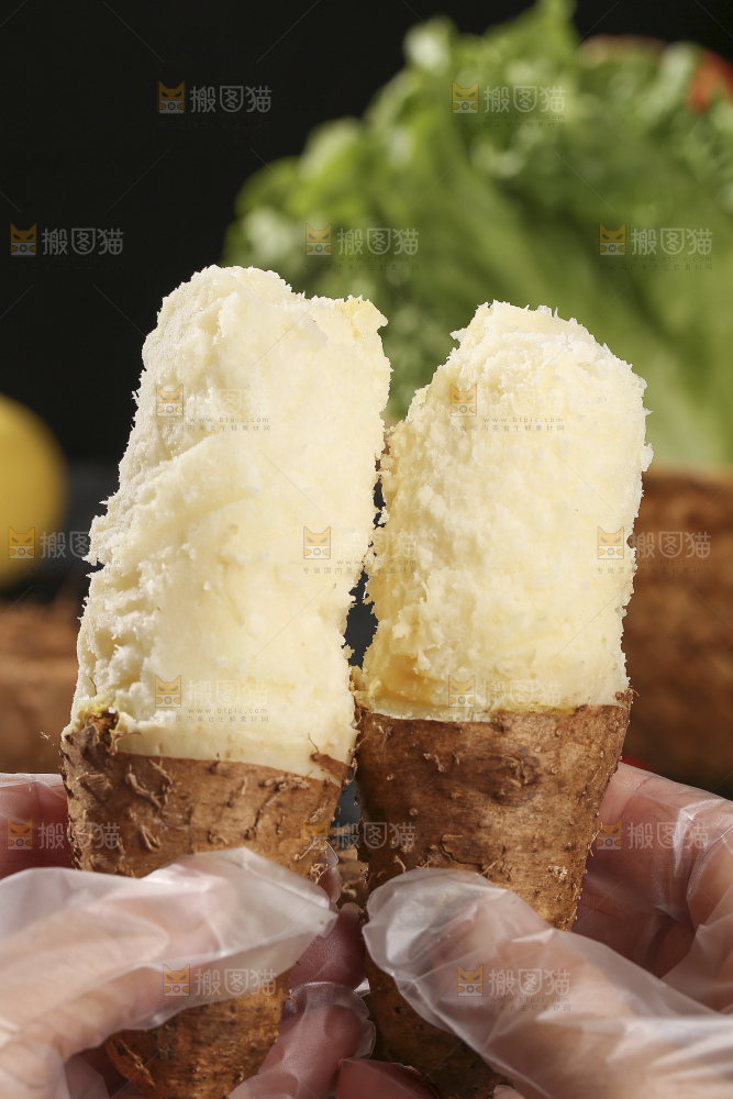 毛薯