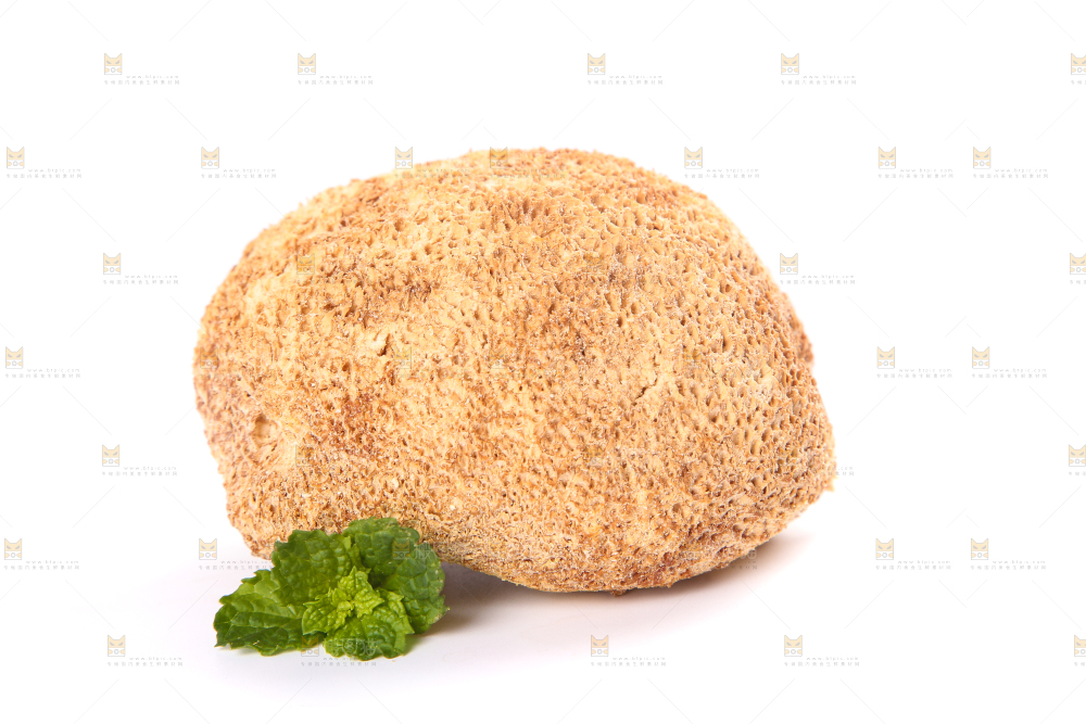 白底上的猴头菇