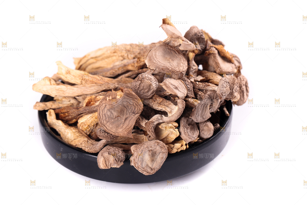 白底上的鹿茸菇