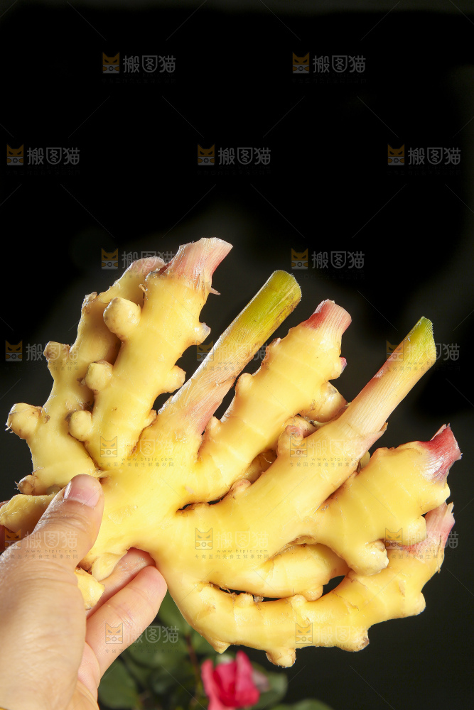 深底上的小黄姜