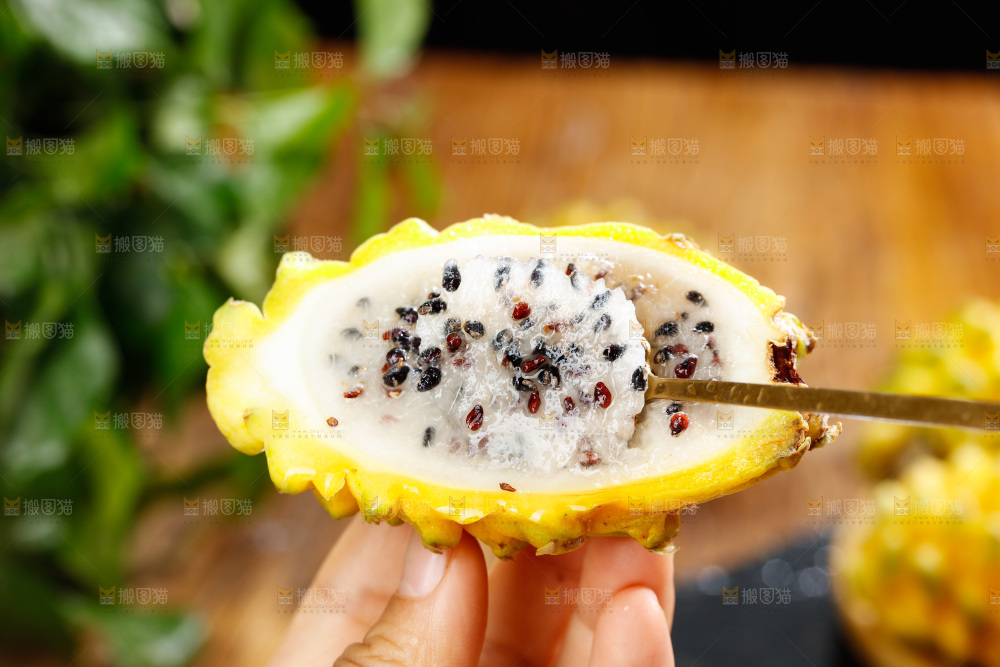 深底上的燕窝果