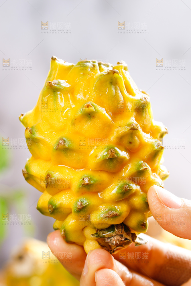 深底上的燕窝果