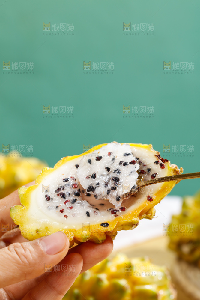 浅底上的燕窝果