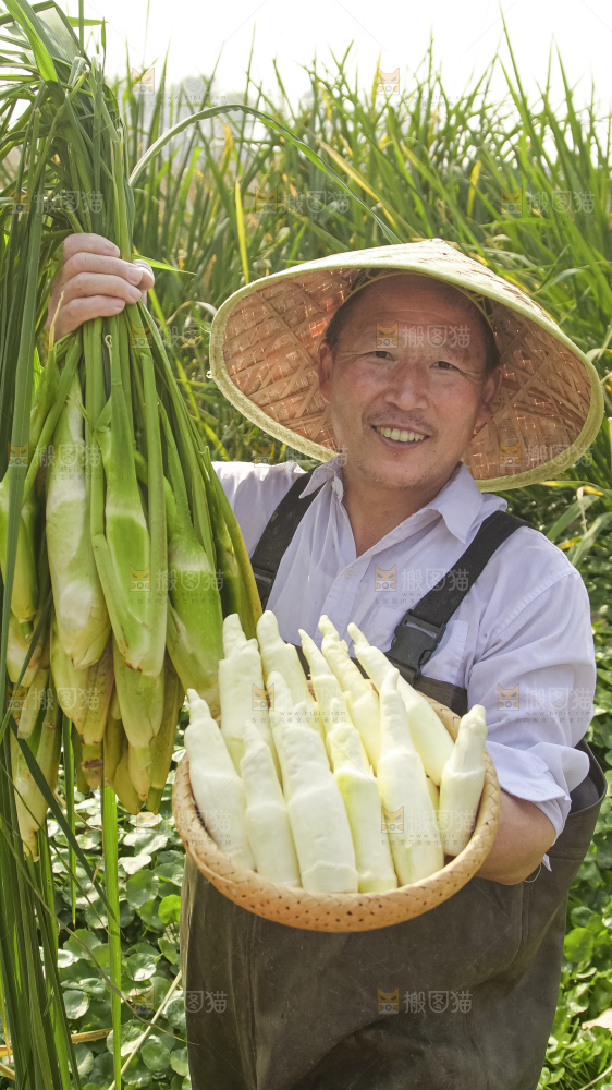 手里拿着新鲜茭白