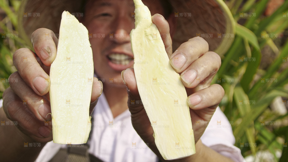 手里拿着新鲜茭白
