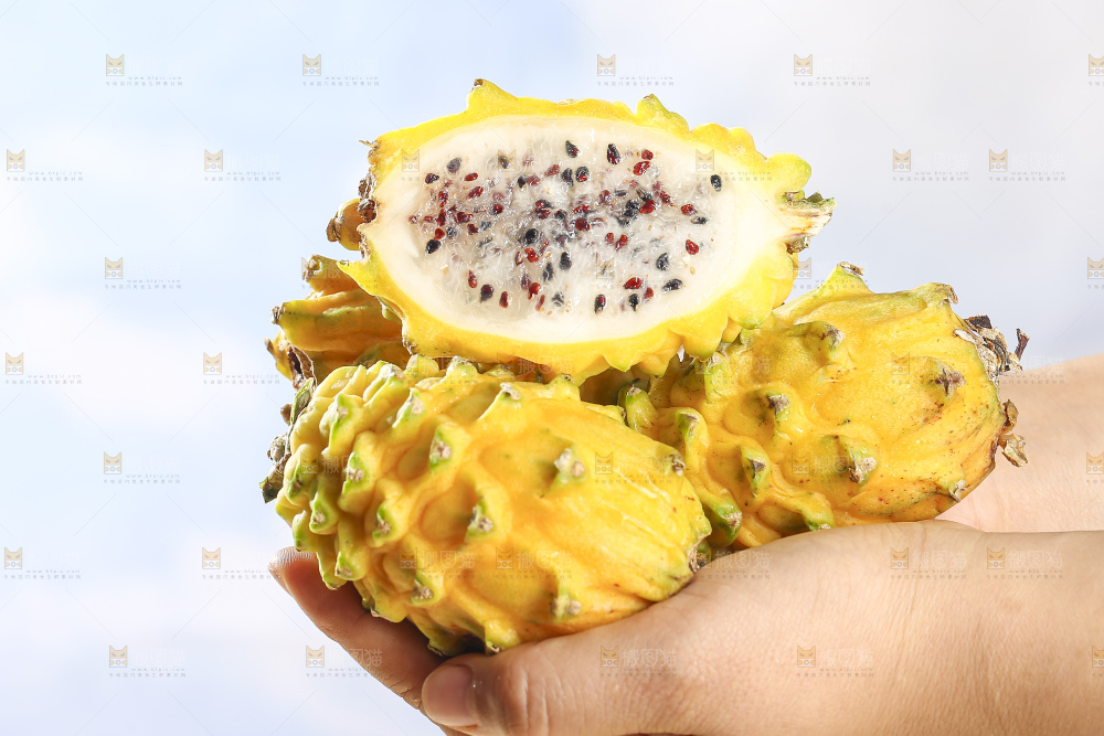 浅底上的燕窝果