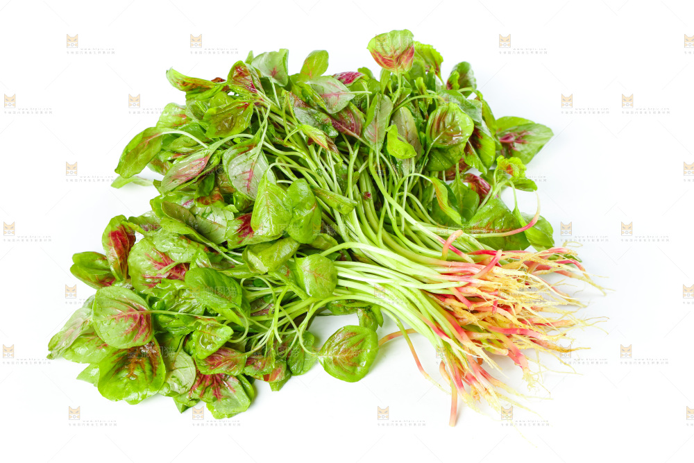白底上的农家苋菜
