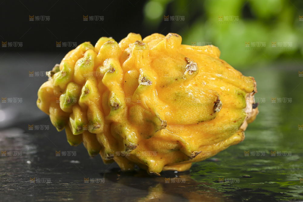 深底上的燕窝果
