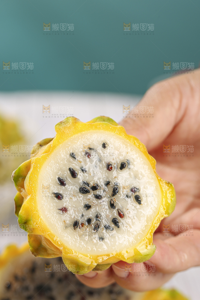 浅底上的燕窝果