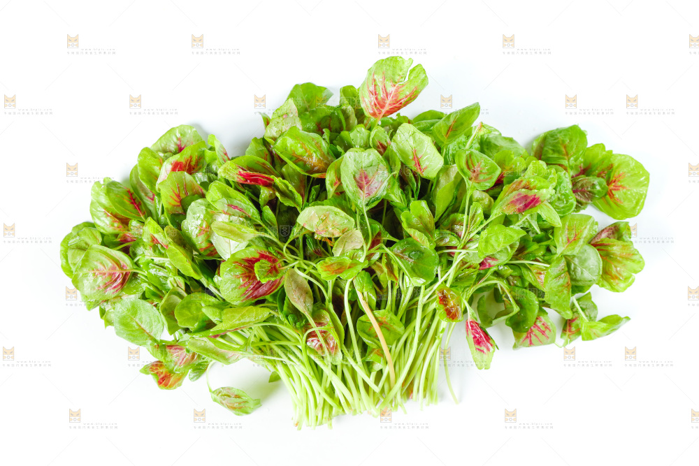 白底上的农家苋菜