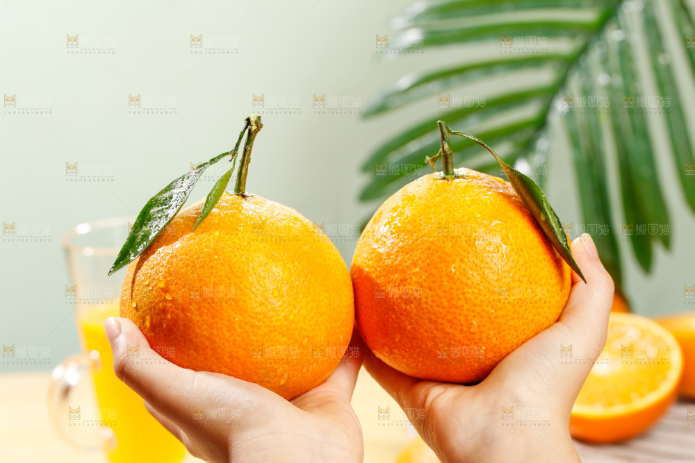浅底上的爱媛果冻橙