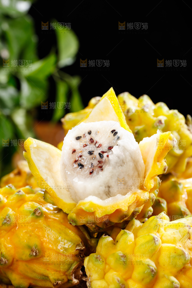 深底上的燕窝果