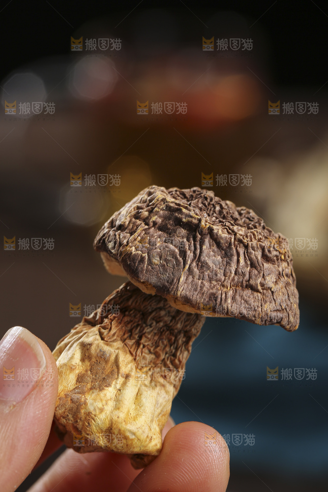 木底上的菌菇汤