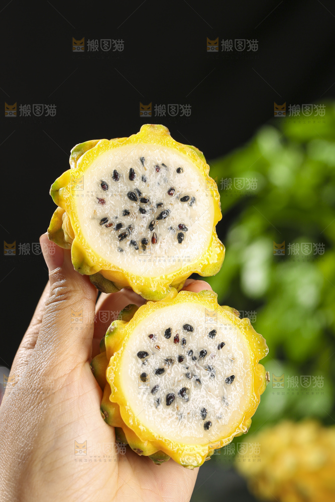 深底上的燕窝果