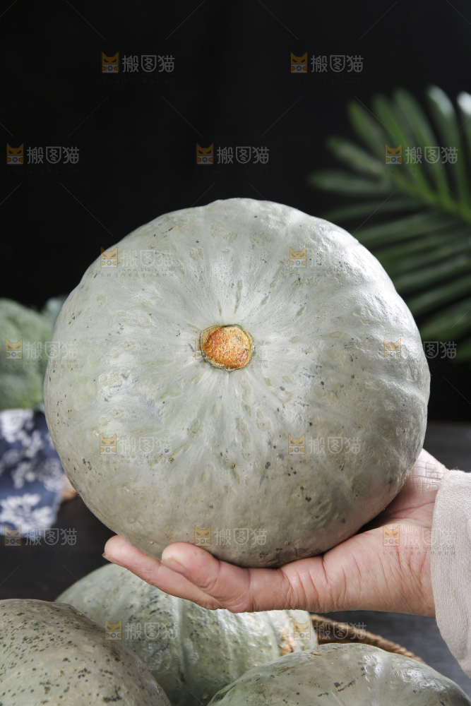 深底上的银栗南瓜