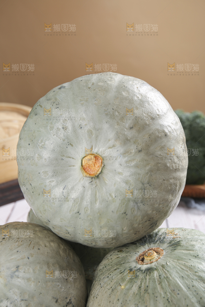 浅底上的银栗南瓜