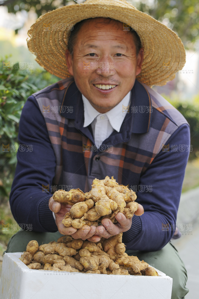 手里拿着新鲜生姜