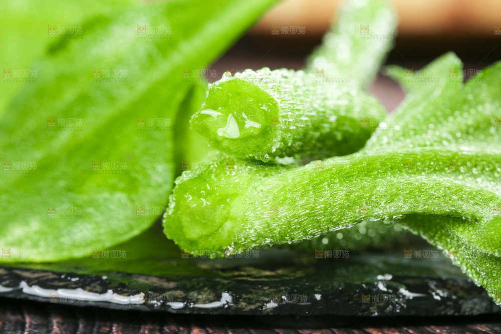 深底上的冰草