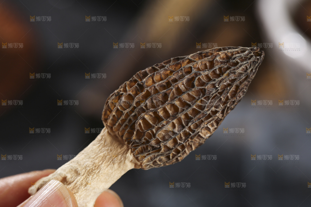 木底上的菌菇汤