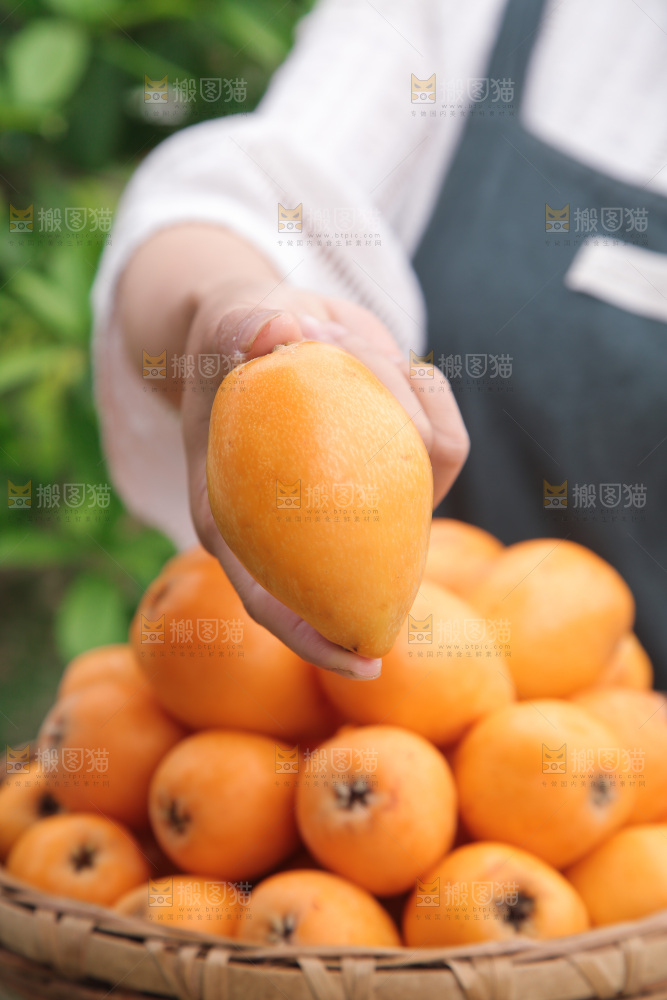 手里拿着大枇杷