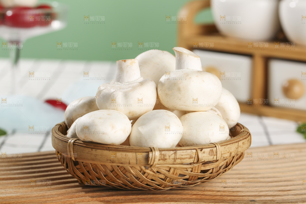 浅底上的口蘑