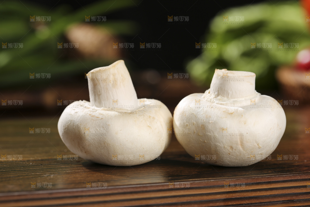木底上的口蘑