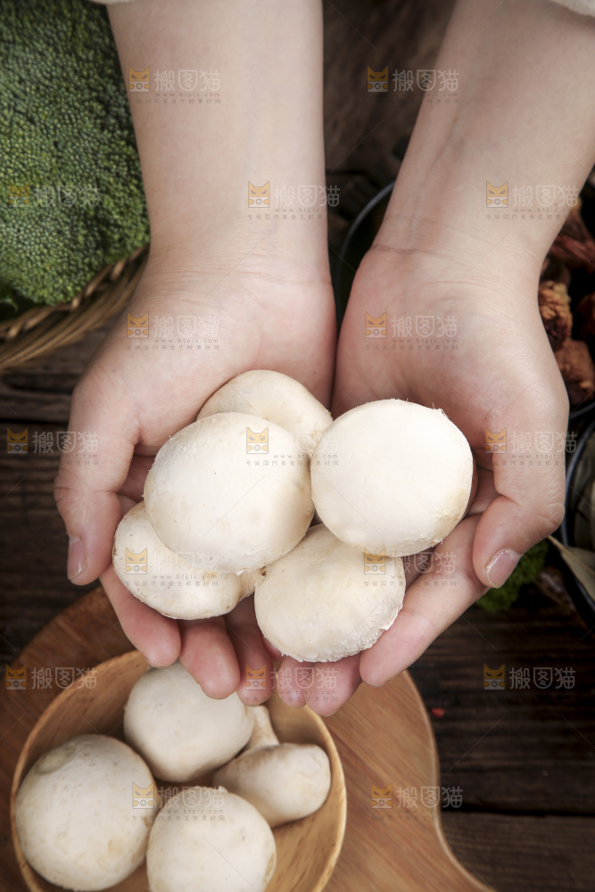 深底上的口蘑