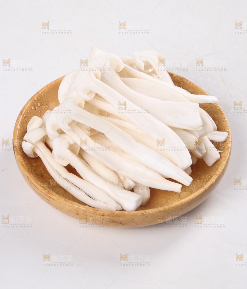 白底上的白玉菇