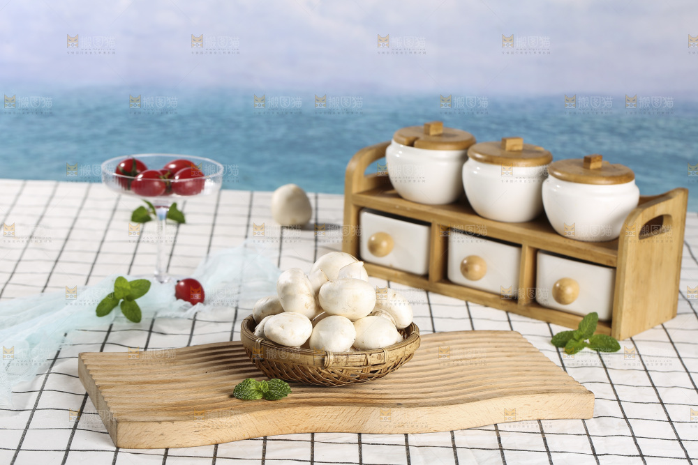 浅底上的口蘑
